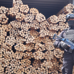 Rotan Ilegal Senilai Rp2,9 Miliar Tujuan Tingkok Diselundupkan di Pelabuhan Dwikora Pontianak