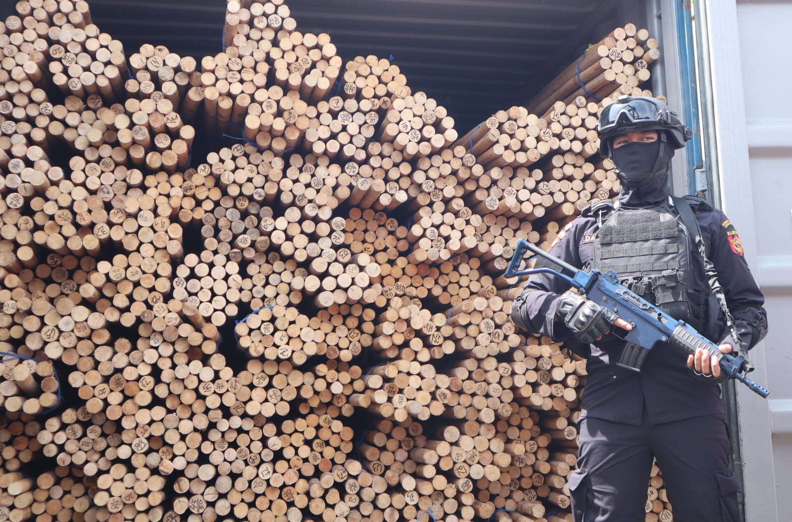 Eksportir Rotan Ilegal Senilai Rp2,9 Miliar Tujuan Tiongkok Mangkir dari Pemeriksaan