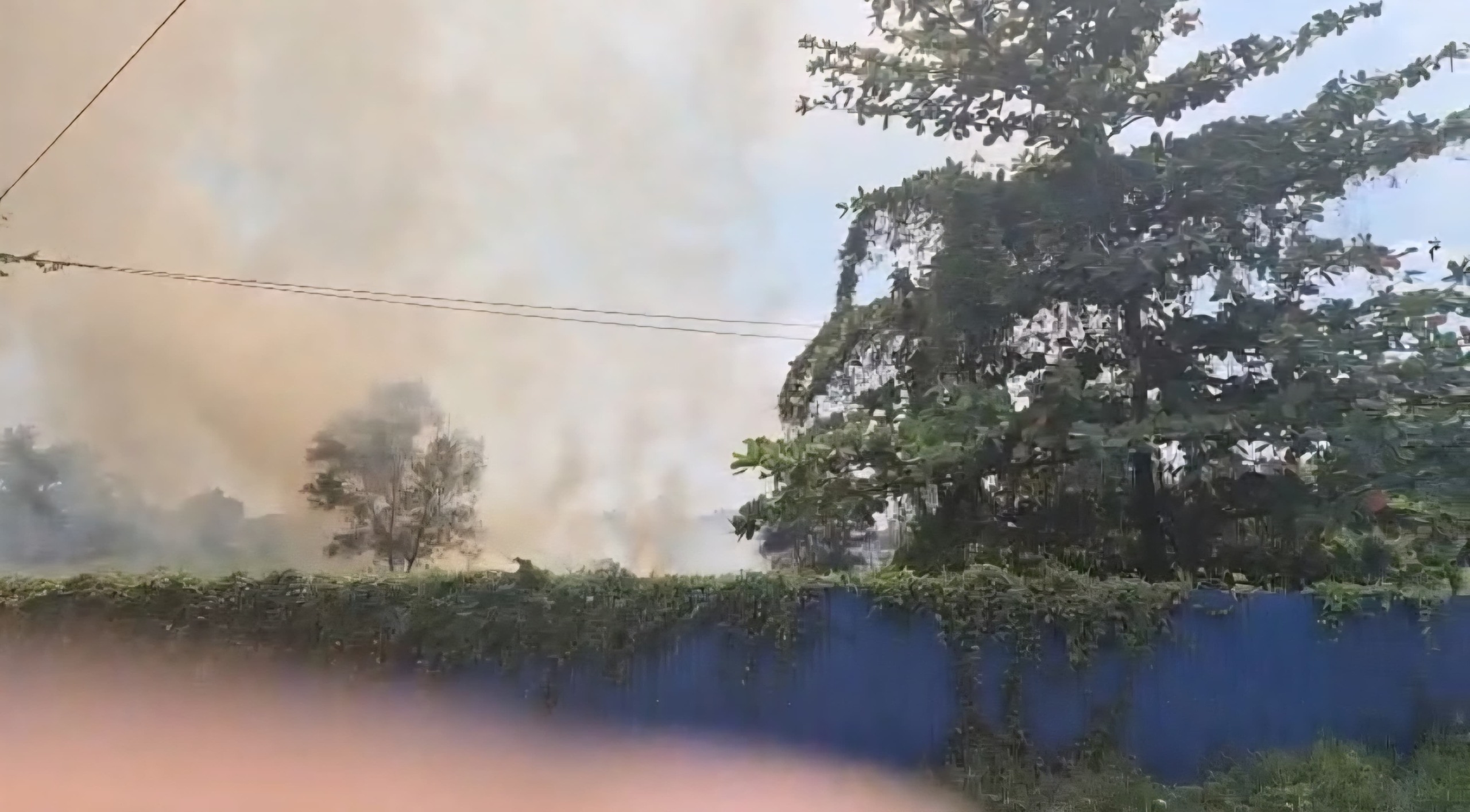 Tak Terbukti Membakar Lahan di Kawasan Ambalat Pontianak, Warga yang Sempat Diamankan Kini Dipulangkan Polisi