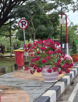 Ratusan Pot Bunga Sambut Wisatawan Cap Go Meh dan Warga yang Ngabuburit Puasa Ramadhan