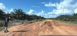 Jalan Perawas Ditingkatkan, Ria Norsan: Pangkas Jarak Tempuh Menuju Kayong Utara