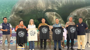 Di Hari Dugong Sedunia, DKP Kalbar Ajak Perkuat Perlindungan Dugong dan Ekosistem Lamun di Kendawangan