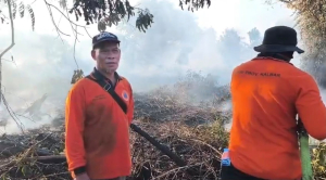 BPBD Kalbar Kerahkan Operasi Darat dan Udara, Pastikan Karhutla di Rasau Jaya Tak Merambah Permukiman