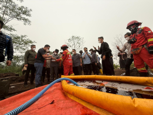Gubernur Kalbar Dorong Lahan Bekas Karhutla Dipulihkan Jadi Lahan Produktif